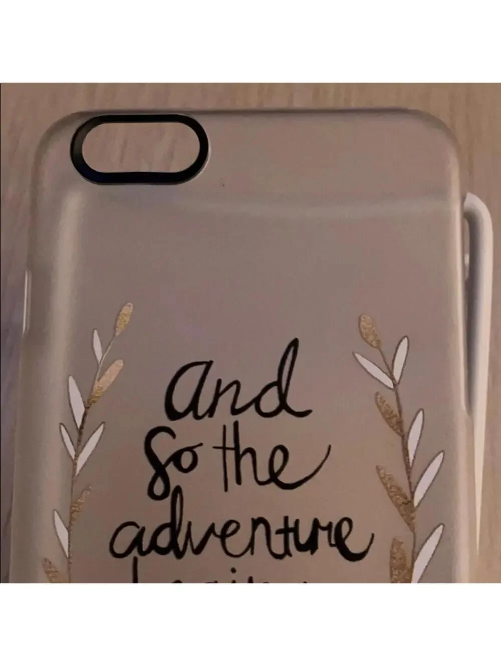 iPhone 6 Plus frosted snap on case